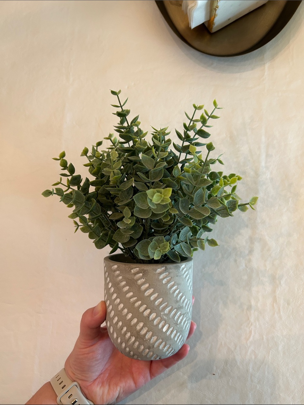 Artificial Eucalyptus Plant in Gray Patterned Pot - Home Accents